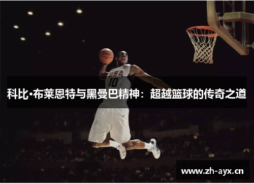 科比·布莱恩特与黑曼巴精神：超越篮球的传奇之道